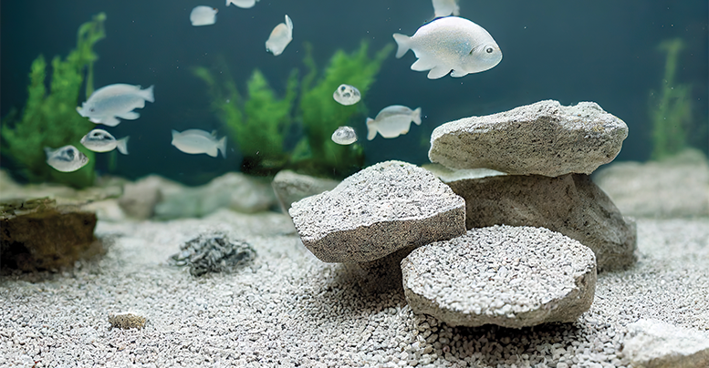 Как подготовить камни для аквариума в домашних условиях