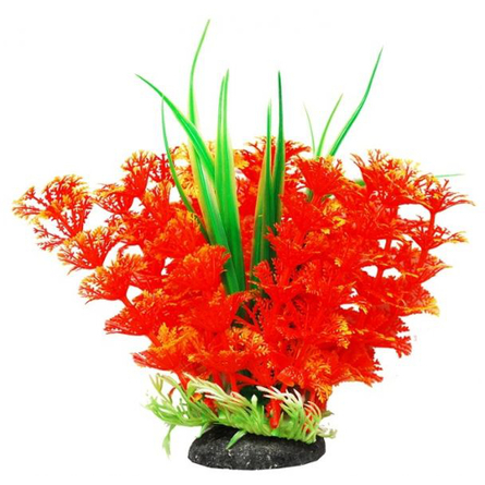 УЮТ Растение аквариумное Амбулия оранжевая с кружевными листьями – интернет-магазин Ле’Муррр